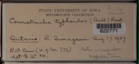 Image Associated With the Occurence